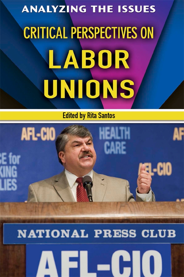 Critical Perspectives On Labor Unions 1st Edition Rita Santos