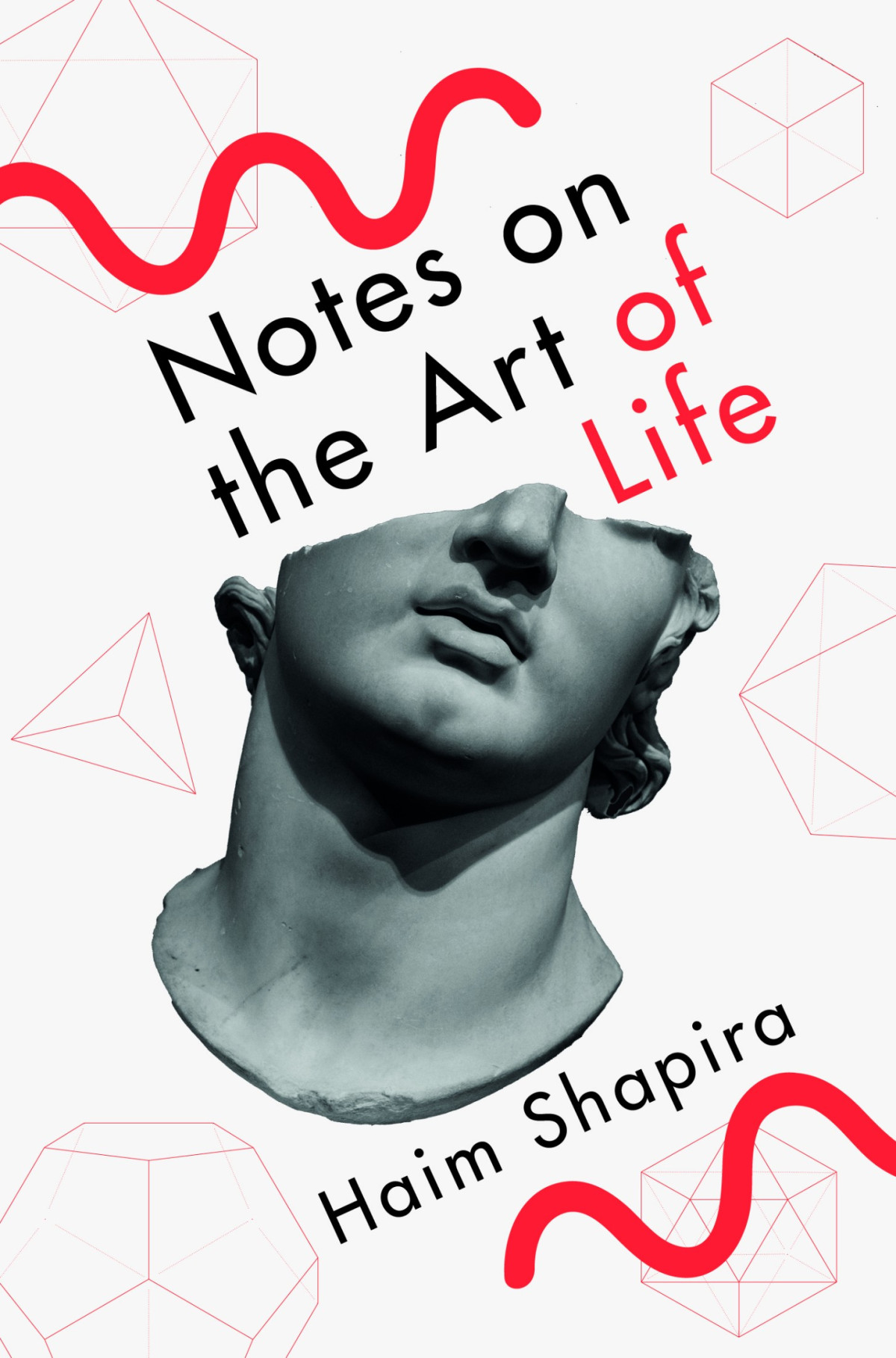 Notes On The Art Of Life Haim Shapira