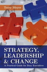 Strategy Leadership And Change A Practical Guide For Busy Executives 1st Edition Terry Meyer