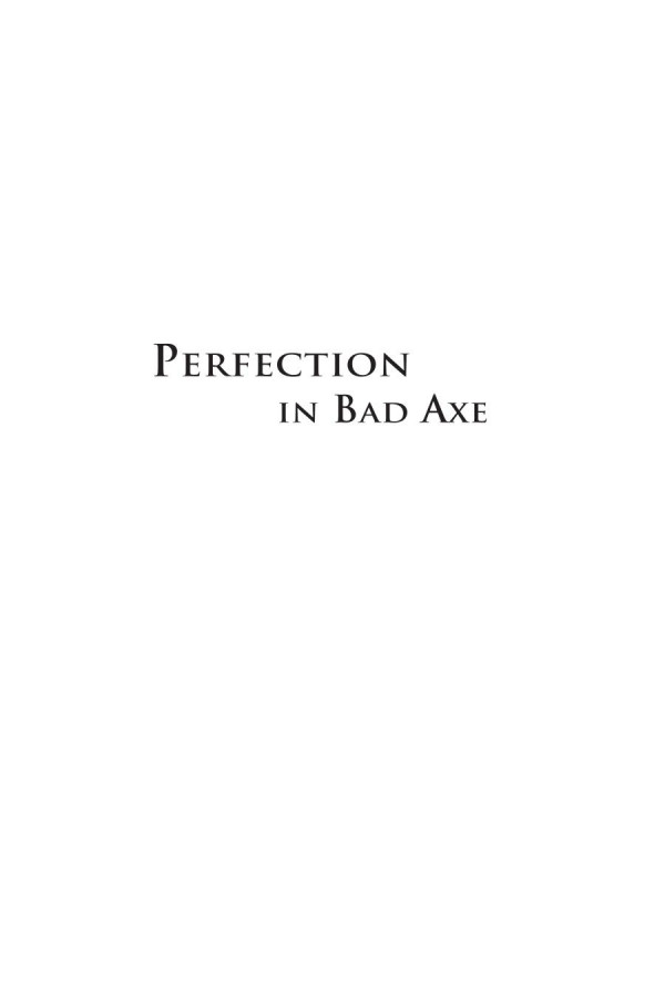 Perfection In Bad Axe Stories 1st Edition Craig Bernthal