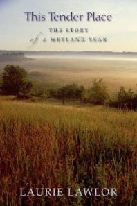 This Tender Place The Story Of A Wetland Year 1st Edition Laurie Lawlor