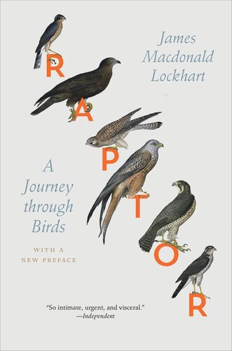 Raptor A Journey Through Birds James Macdonald Lockhart James Macdonald Lockhart