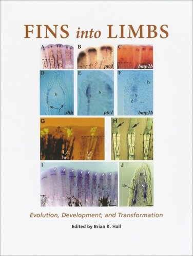 Fins Into Limbs Evolution Development And Transformation Brian K Hall Editor