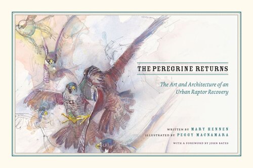 The Peregrine Returns The Art And Architecture Of An Urban Raptor Recovery Mary Hennen Peggy Macnamara Stephanie Ware