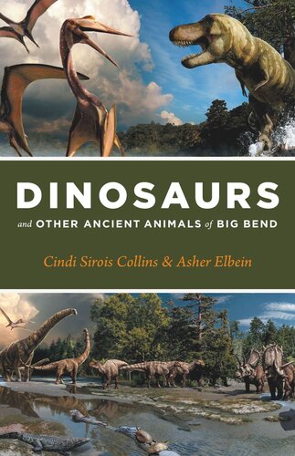 Dinosaurs And Other Ancient Animals Of Big Bend Cindi Sirois Collins Asher Elbein Julius Csotonyi