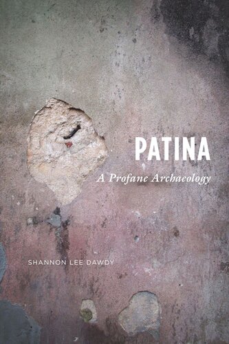 Patina A Profane Archaeology Shannon Lee Dawdy
