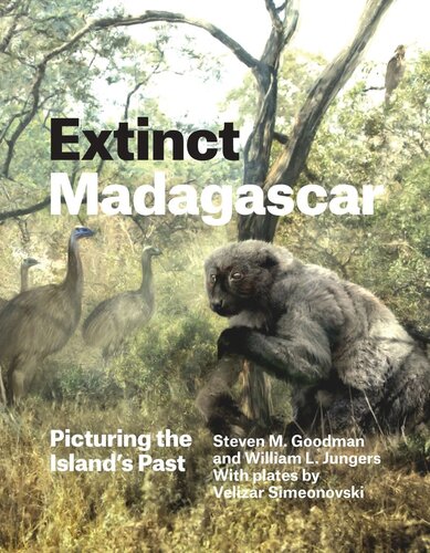 Extinct Madagascar Picturing The Islands Past Steven M Goodman William L Jungers Velizar Simeonovski