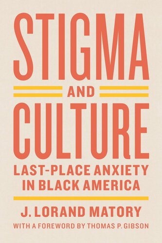 Stigma And Culture Lastplace Anxiety In Black America J Lorand Matory Thomas P Gibson