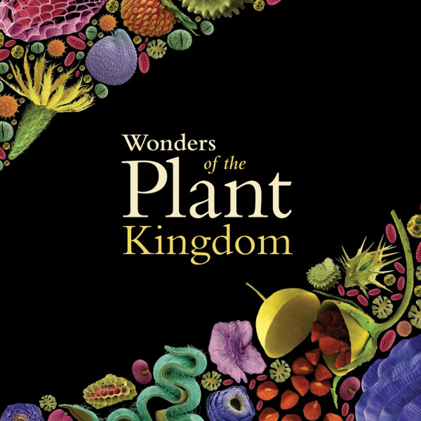 Wonders Of The Plant Kingdom A Microcosm Revealed Wolfgang Stuppy Rob Kesseler Madeline Harley