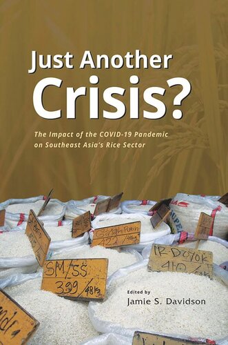 Just Another Crisis The Impact Of The Covid19 Pandemic On Southeast Asias Rice Sector Jamie Seth Davidson