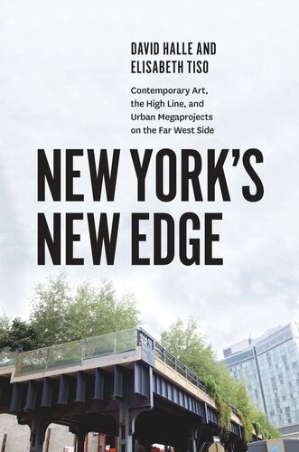 New Yorks New Edge Contemporary Art The High Line And Urban Megaprojects On The Far West Side David Halle Elisabeth Tiso