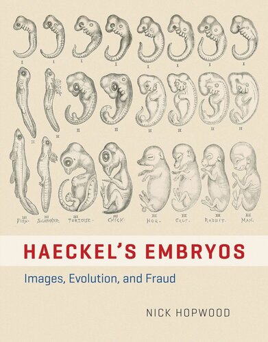 Haeckels Embryos Images Evolution And Fraud Nick Hopwood