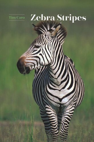 Zebra Stripes Tim Caro