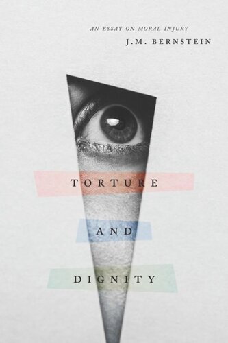 Torture And Dignity An Essay On Moral Injury J M Bernstein