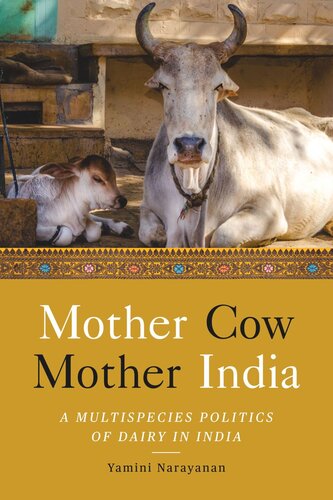 Mother Cow Mother India A Multispecies Politics Of Dairy In India Yamini Narayanan