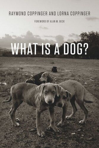 What Is A Dog Raymond Coppinger Lorna Coppinger Alan Beck