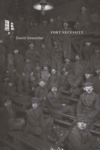 Fort Necessity David Gewanter
