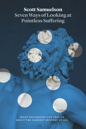 Seven Ways Of Looking At Pointless Suffering What Philosophy Can Tell Us About The Hardest Mystery Of All Scott Samuelson
