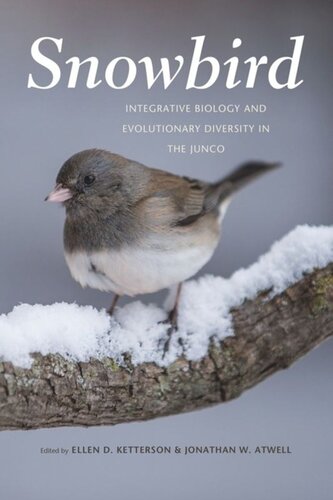 Snowbird Integrative Biology And Evolutionary Diversity In The Junco Ellen D Ketterson Editor Jonathan W Atwell Editor