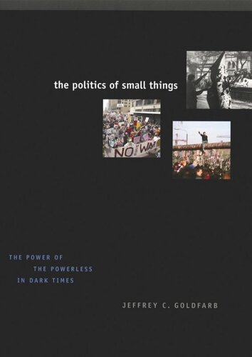 The Politics Of Small Things The Power Of The Powerless In Dark Times Jeffrey C Goldfarb