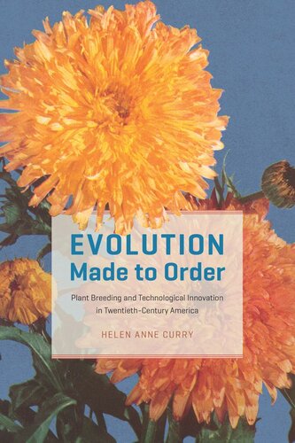 Evolution Made To Order Plant Breeding And Technological Innovation In Twentiethcentury America Helen Anne Curry