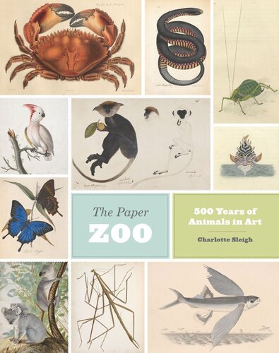 The Paper Zoo 500 Years Of Animals In Art Charlotte Sleigh