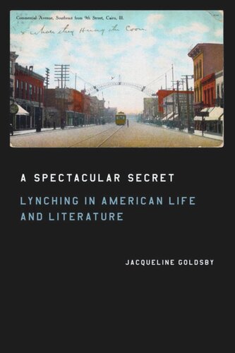 A Spectacular Secret Lynching In American Life And Literature Jacqueline Goldsby