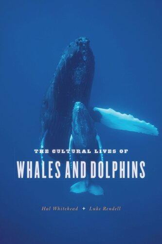 The Cultural Lives Of Whales And Dolphins Hal Whitehead Luke Rendell