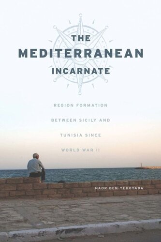 The Mediterranean Incarnate Region Formation Between Sicily And Tunisia Since World War Ii Naor Benyehoyada
