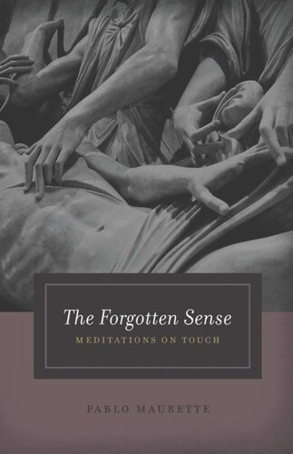 The Forgotten Sense Meditations On Touch Pablo Maurette