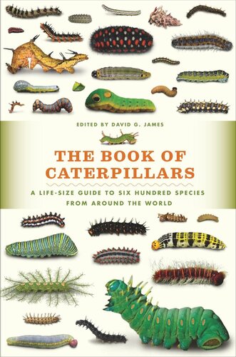 The Book Of Caterpillars A Lifesize Guide To Six Hundred Species From Around The World David G James Editor