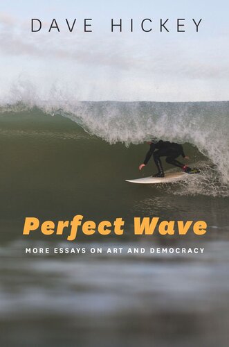 Perfect Wave More Essays On Art And Democracy Dave Hickey