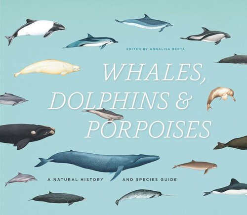 Whales Dolphins And Porpoises A Natural History And Species Guide Annalisa Berta Editor
