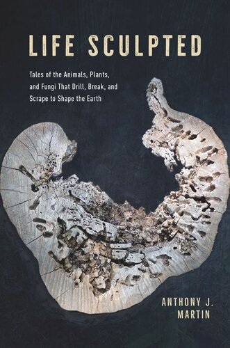 Life Sculpted Tales Of The Animals Plants And Fungi That Drill Break And Scrape To Shape The Earth Anthony J Martin