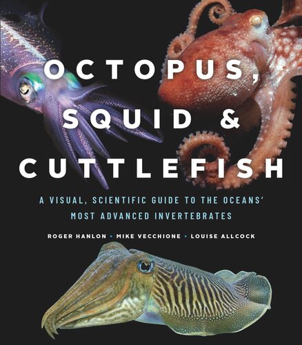 Octopus Squid And Cuttlefish A Visual Scientific Guide To The Oceans Most Advanced Invertebrates Roger Hanlon Mike Vecchione Louise Allcock