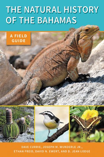 The Natural History Of The Bahamas A Field Guide Dave Currie Joseph M Wunderle