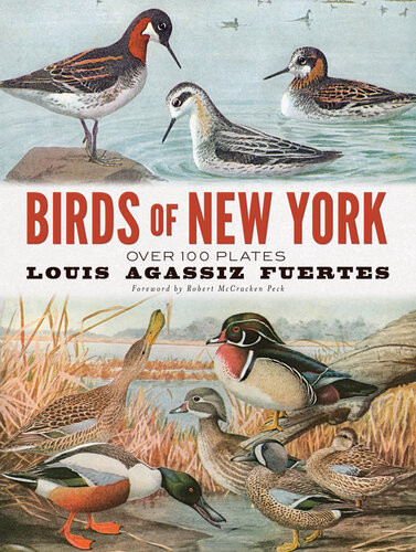 Birds Of New York Over 100 Plates Louis Agassiz Fuertes