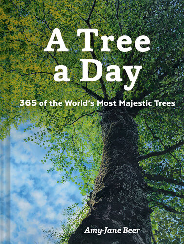 A Tree A Day Amyjane Beer
