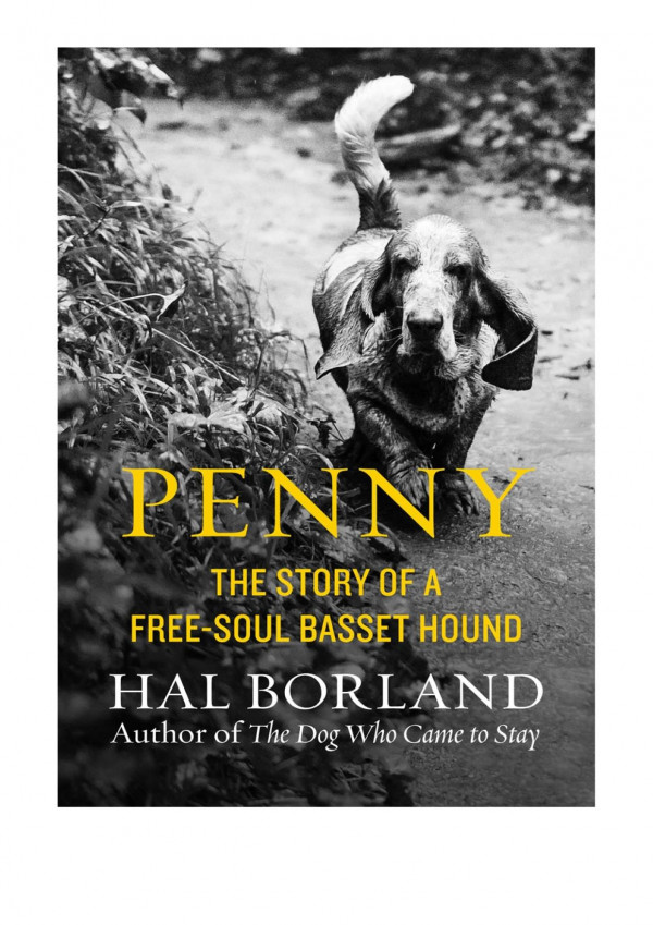 Penny The Story Of A Freesoul Basset Hound Hal Borland
