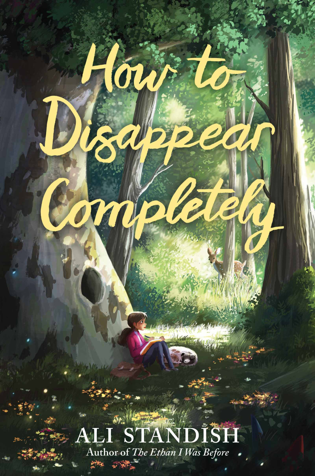How To Disappear Completely Ali Standish