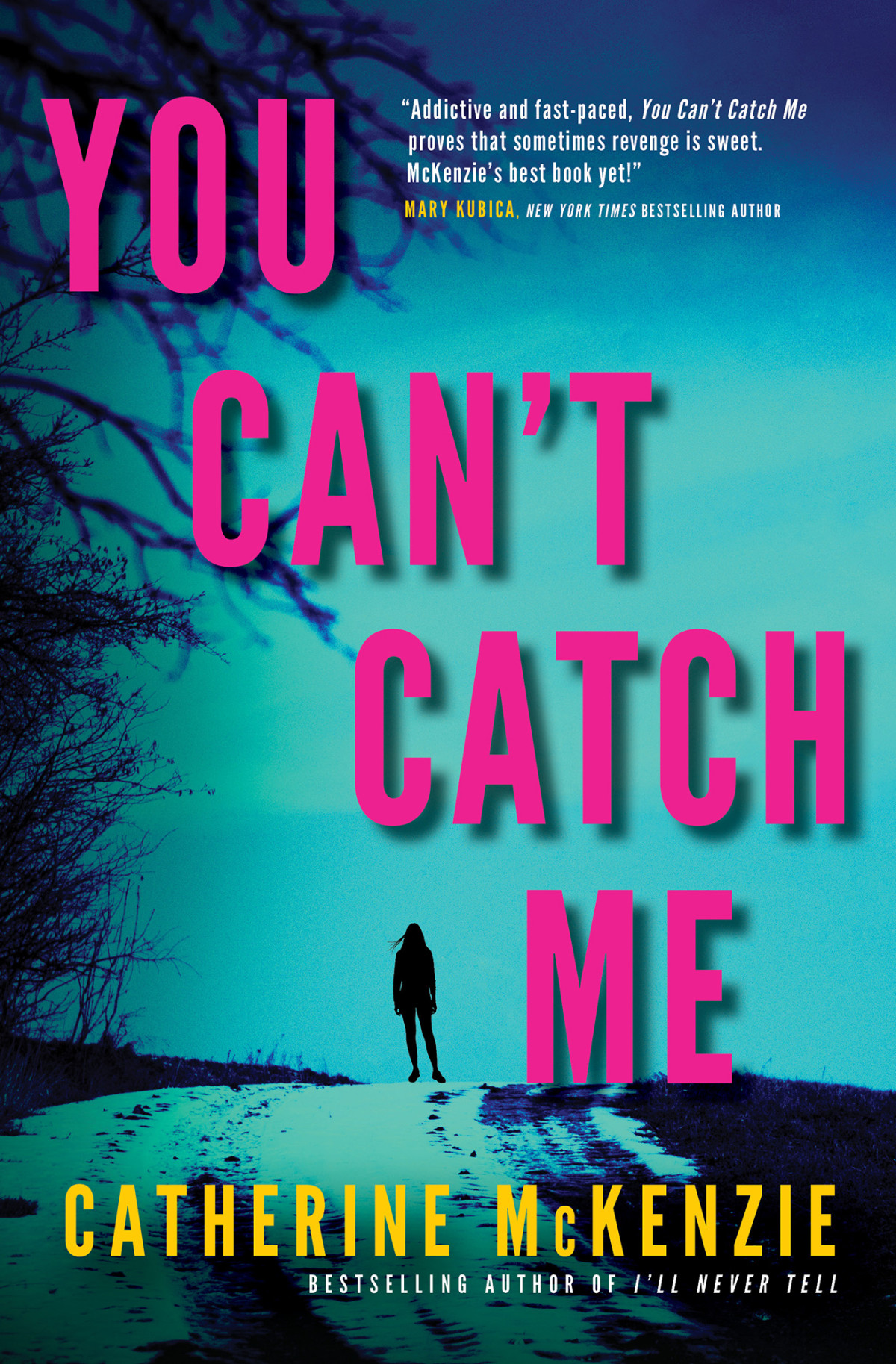 You Cant Catch Me Catherine Mckenzie