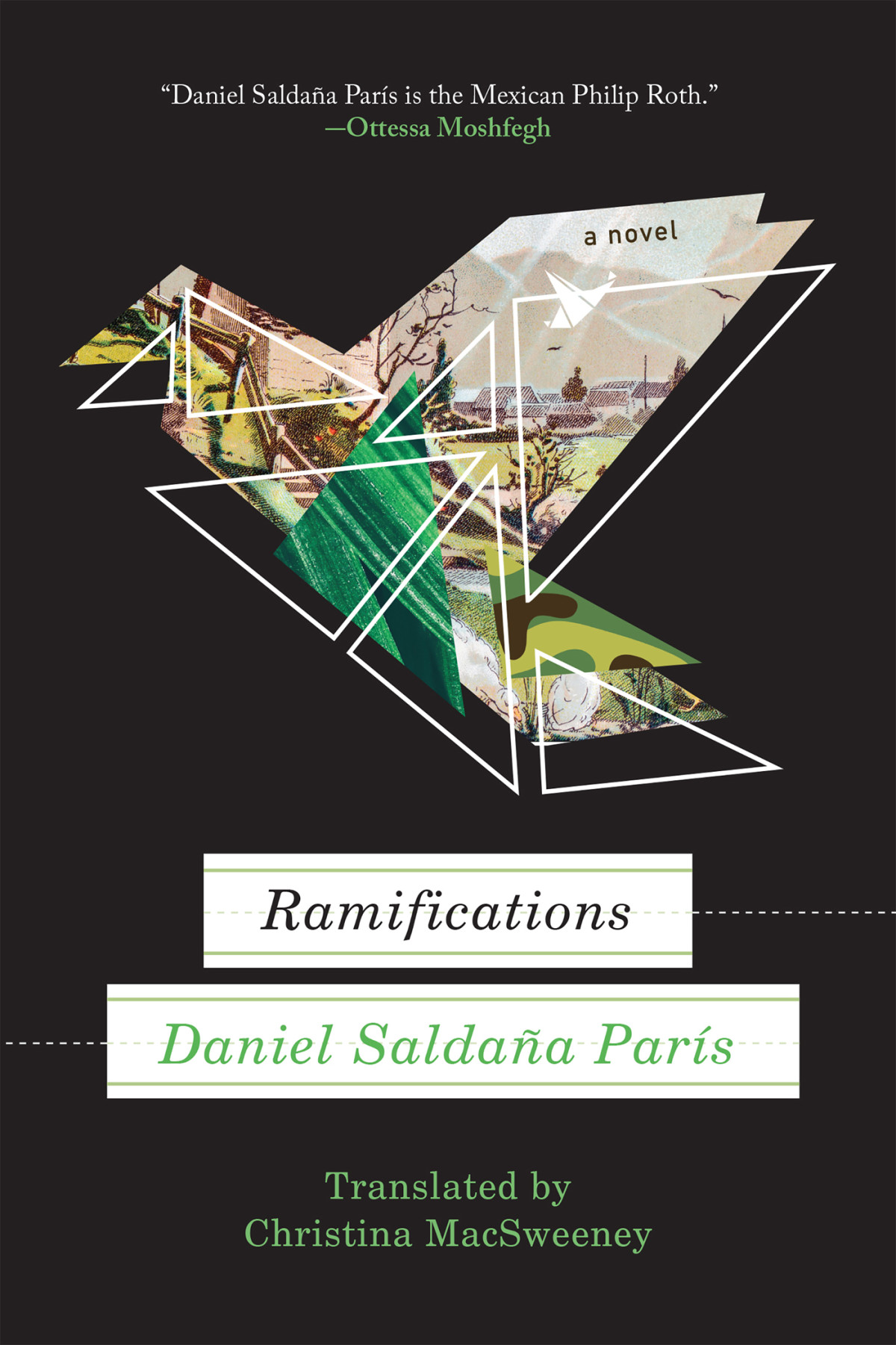 Ramifications 1st Edition Daniel Saldaa Pars