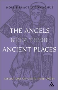 Angels Keep Their Ancient Places Reflections On Celtic Spirituality 1st Edition Noel Odonoghue