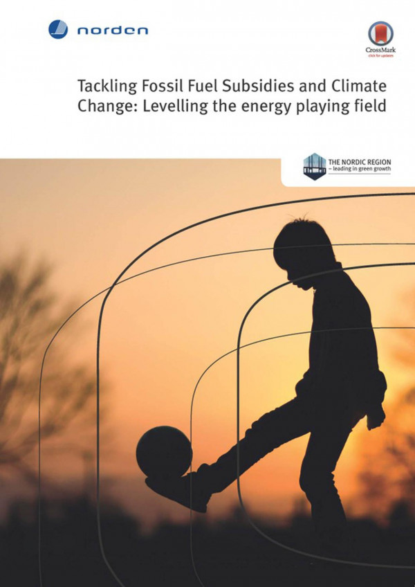 Tackling Fossil Fuel Subsidies And Climate Change Levelling The Energy Playing Field 1st Edition Laura Merrill Andrea M Bassi Richard Bridle