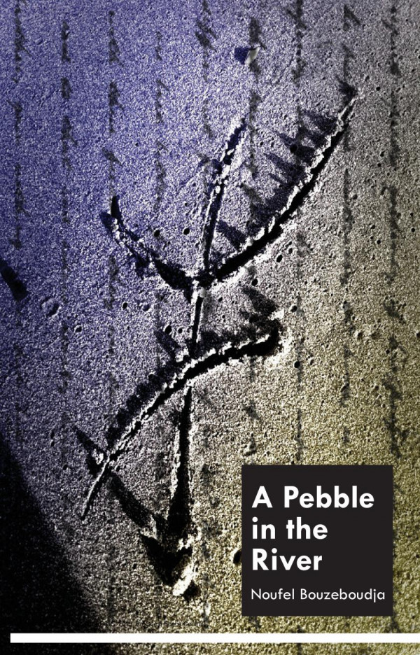 A Pebble In The River 1st Edition Noufel Bouzeboudja