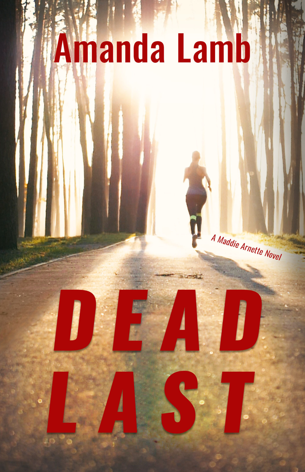 Dead Last 1st Edition Amanda Lamb