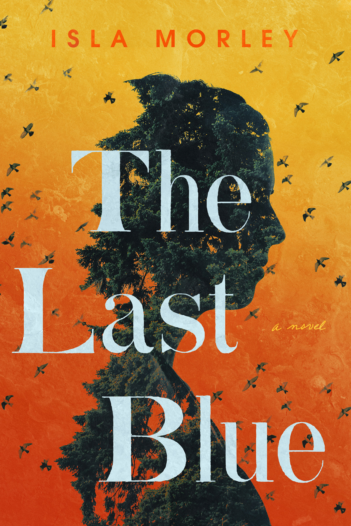 The Last Blue Isla Morley