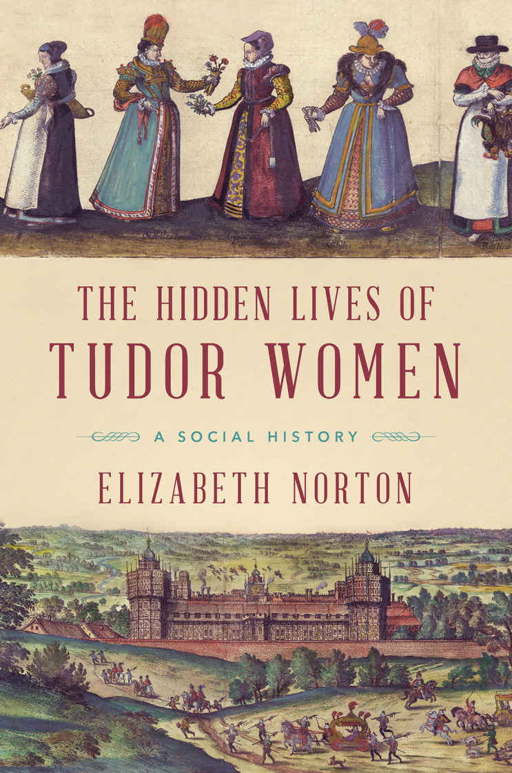 The Hidden Lives Of Tudor Women A Social History Elizabeth Norton