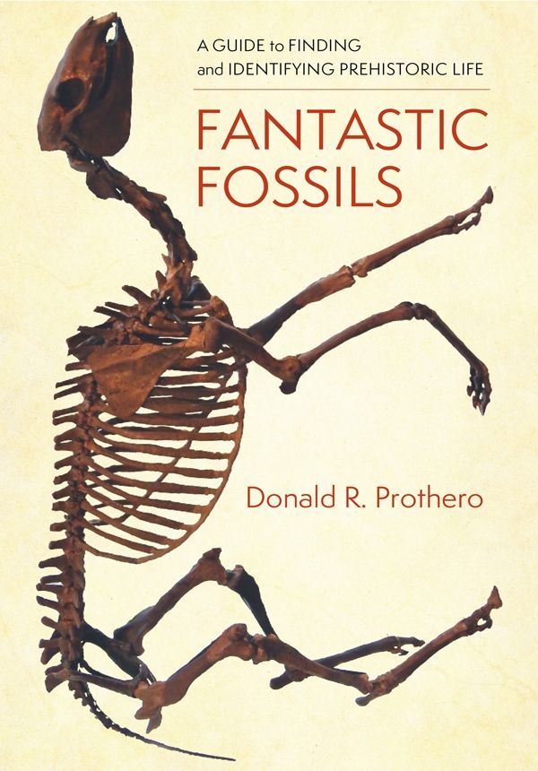 Fantastic Fossils Donald R Prothero Donald R Prothero