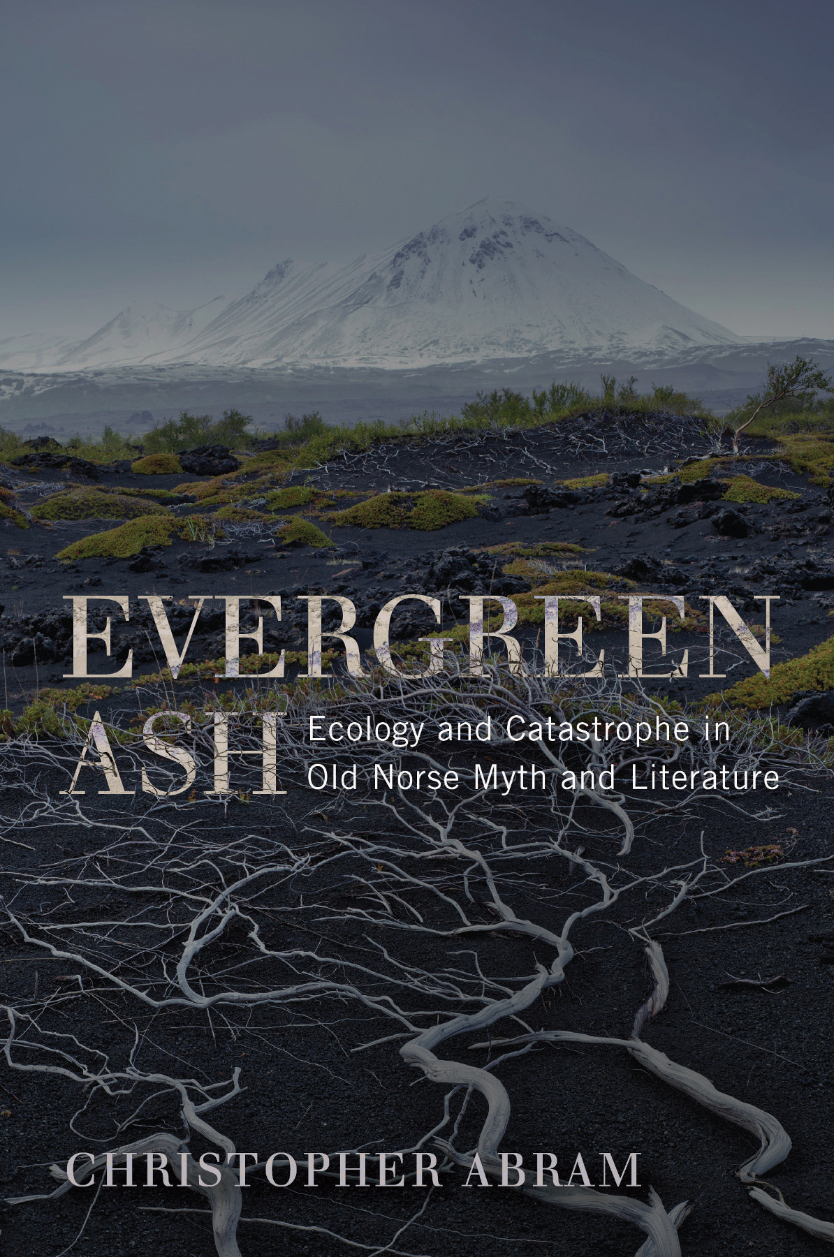 Evergreen Ash Abram Christopher